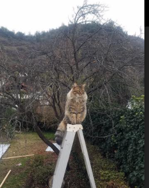 北京、上海、广州等大城市篮球热潮持续升温，全国篮球城市排名