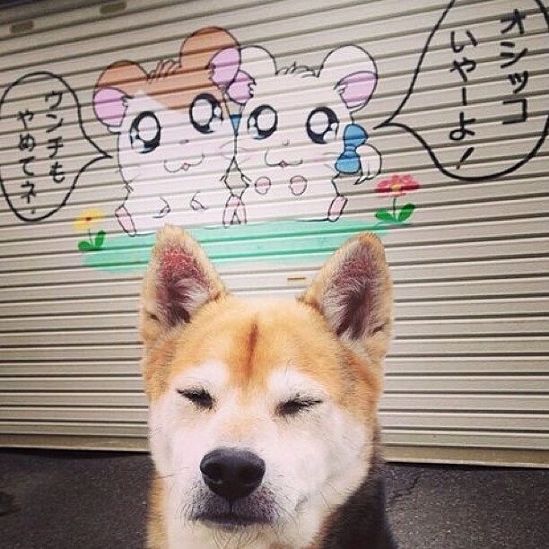 日本队战术调整奏效，赢得关键战，日本国家队战术