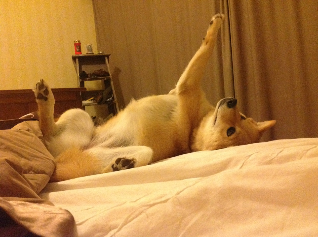 逆风而立：那些信念铸就的欧冠传奇，欧冠经典逆转比赛