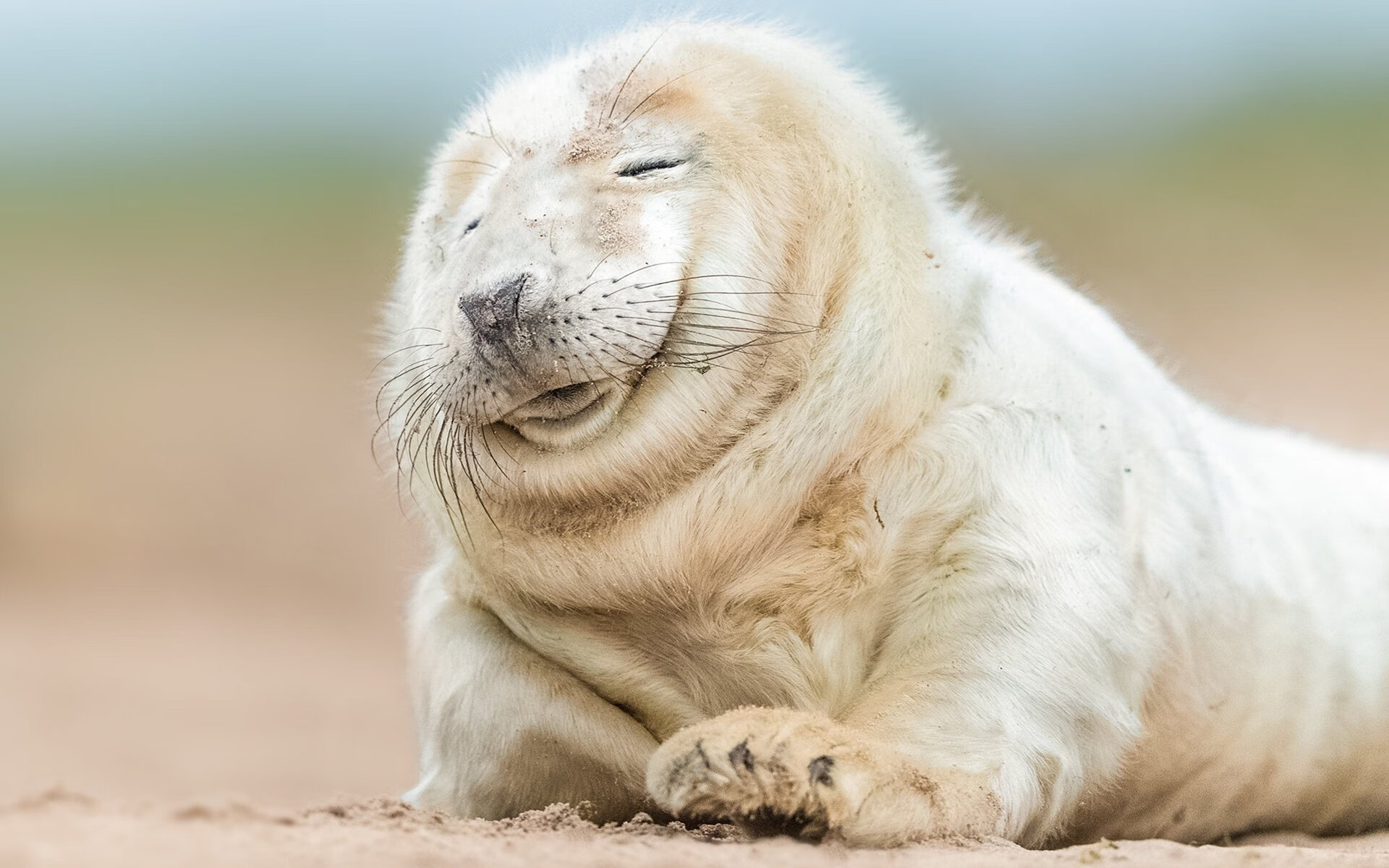 摩洛哥反曲弓选手在2024年非洲射箭锦标赛中表现出色