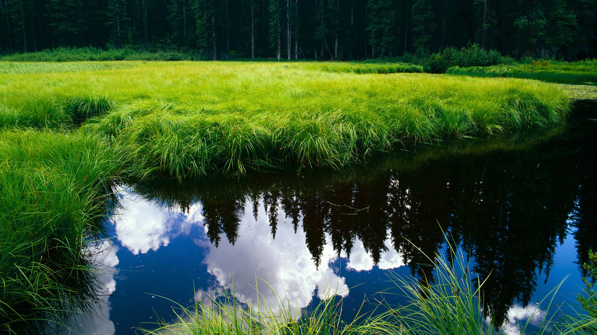 拜仁慕尼黑迎战多特蒙德，胜负难料，拜仁慕尼黑 多特