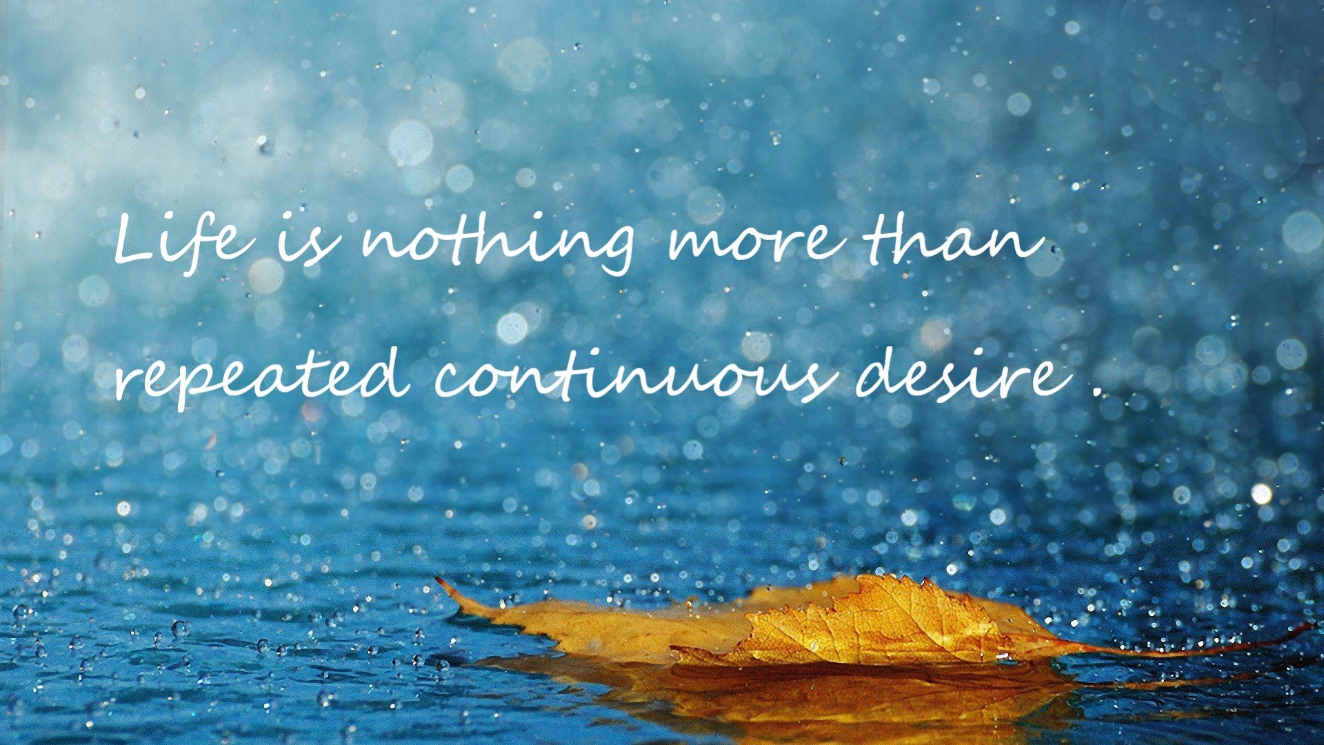 捷克迎战瑞士，欧洲杯晋级战激励人心，欧洲杯捷克瑞典