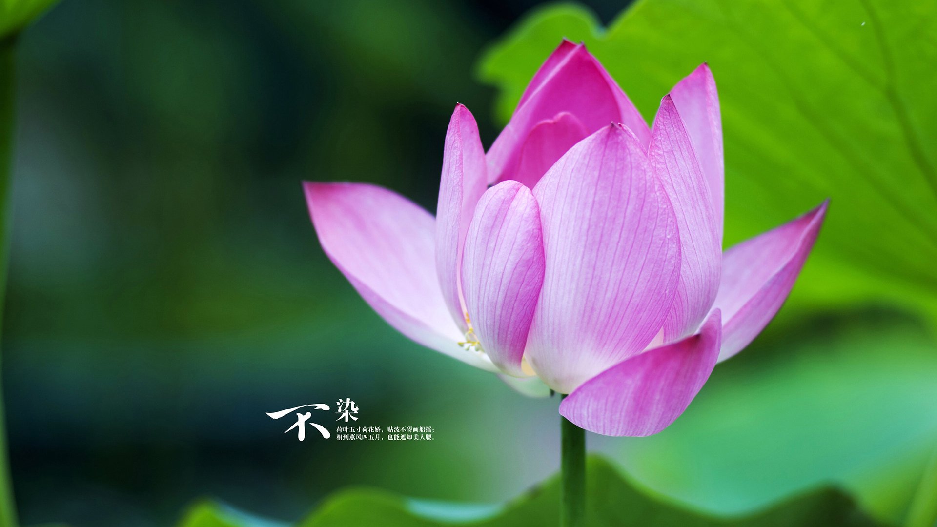 球员之间的私人关系会影响场上表现吗，球员与球队的关系