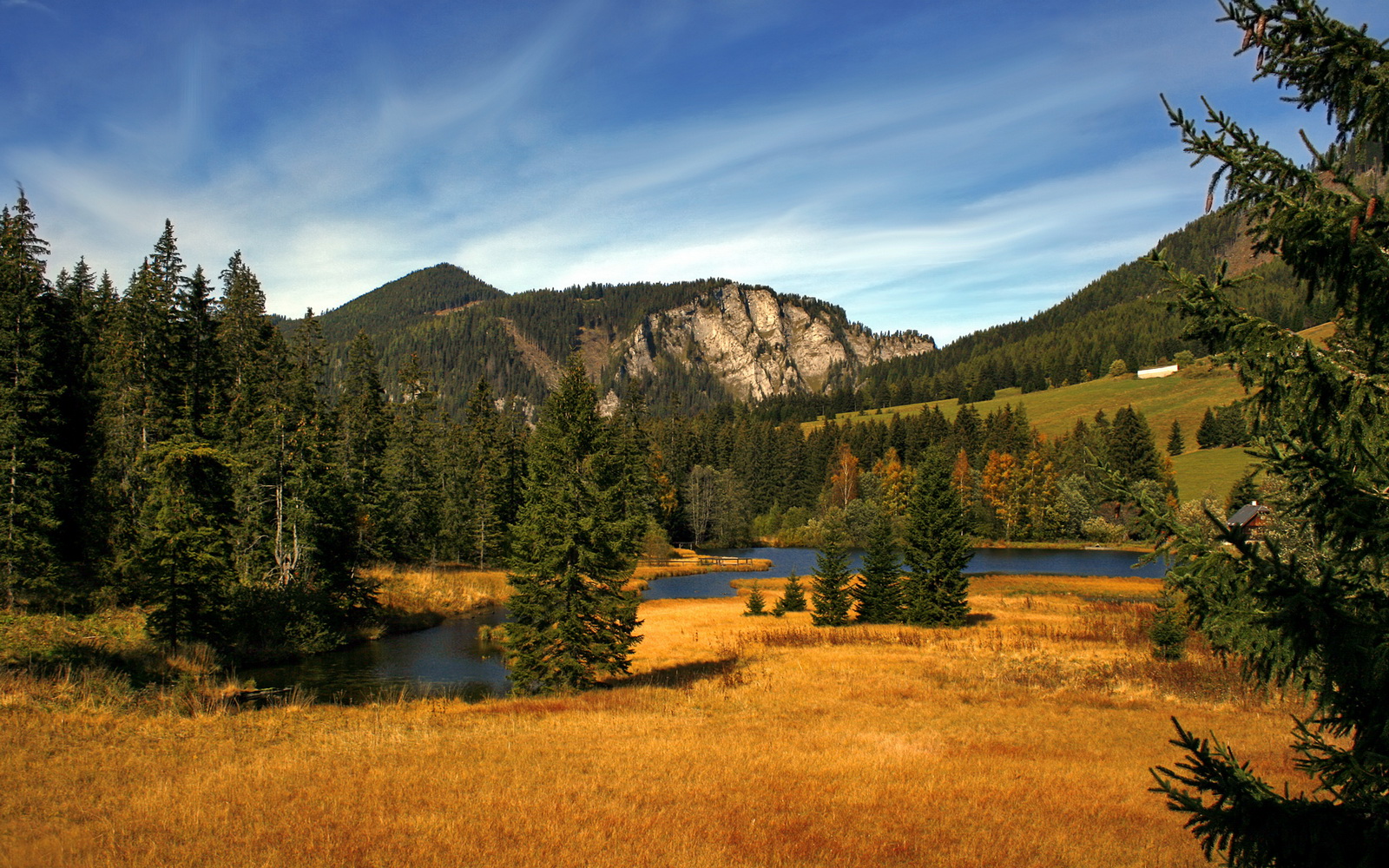 阿贾克斯精妙反击，四强奇迹引人喝彩，阿贾克斯视频