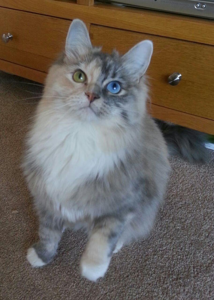 阿尔·哈姆达乌伊在巴黎奥运会男足比赛中展现出强大的防守能力