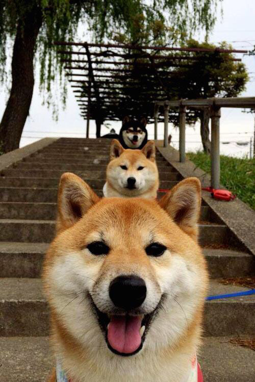 中国男篮加快攻守转换节奏,中国男篮篮球规则