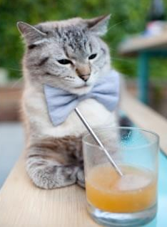 国际乒联混合团体世界杯：澳大利亚队如何迎接挑战和突破，国际乒联世界巡回赛澳大利亚公开赛