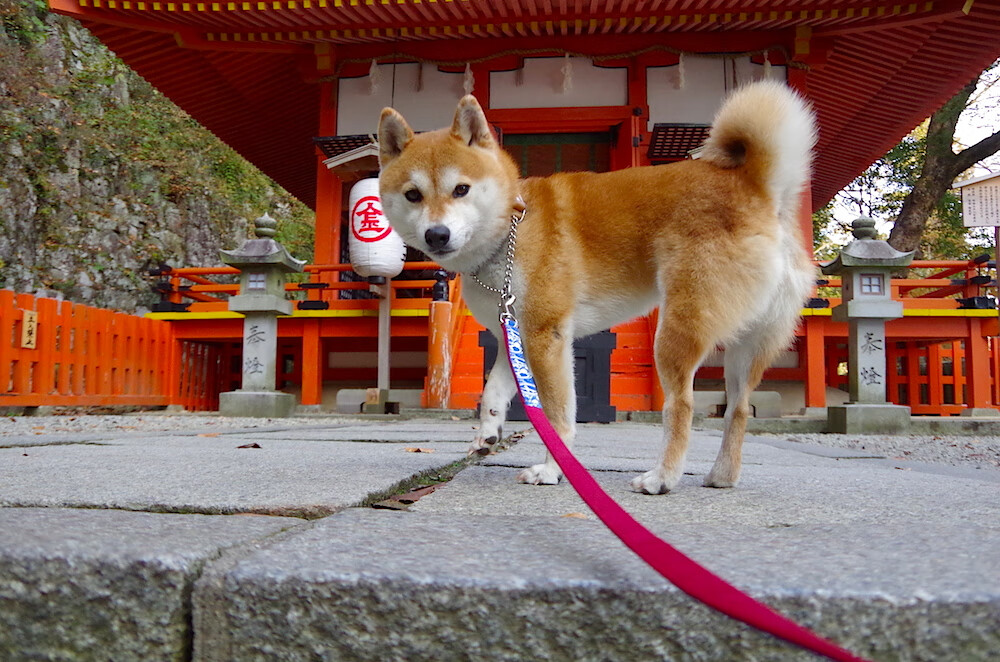 青训体系未能因材施教体现个体差异,青训体系未能因材施教体现个体差异吗
