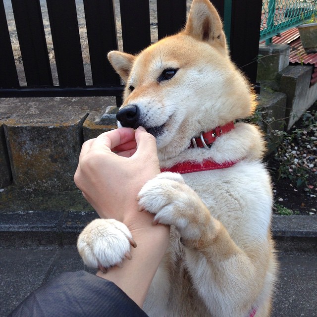 城市杯决赛临近各大平台纷纷上线专题报道预热热度飙升，城市比赛叫什么节目