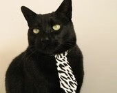 女子职业联赛收入逐年增长，行业前景看好，职业联赛女生