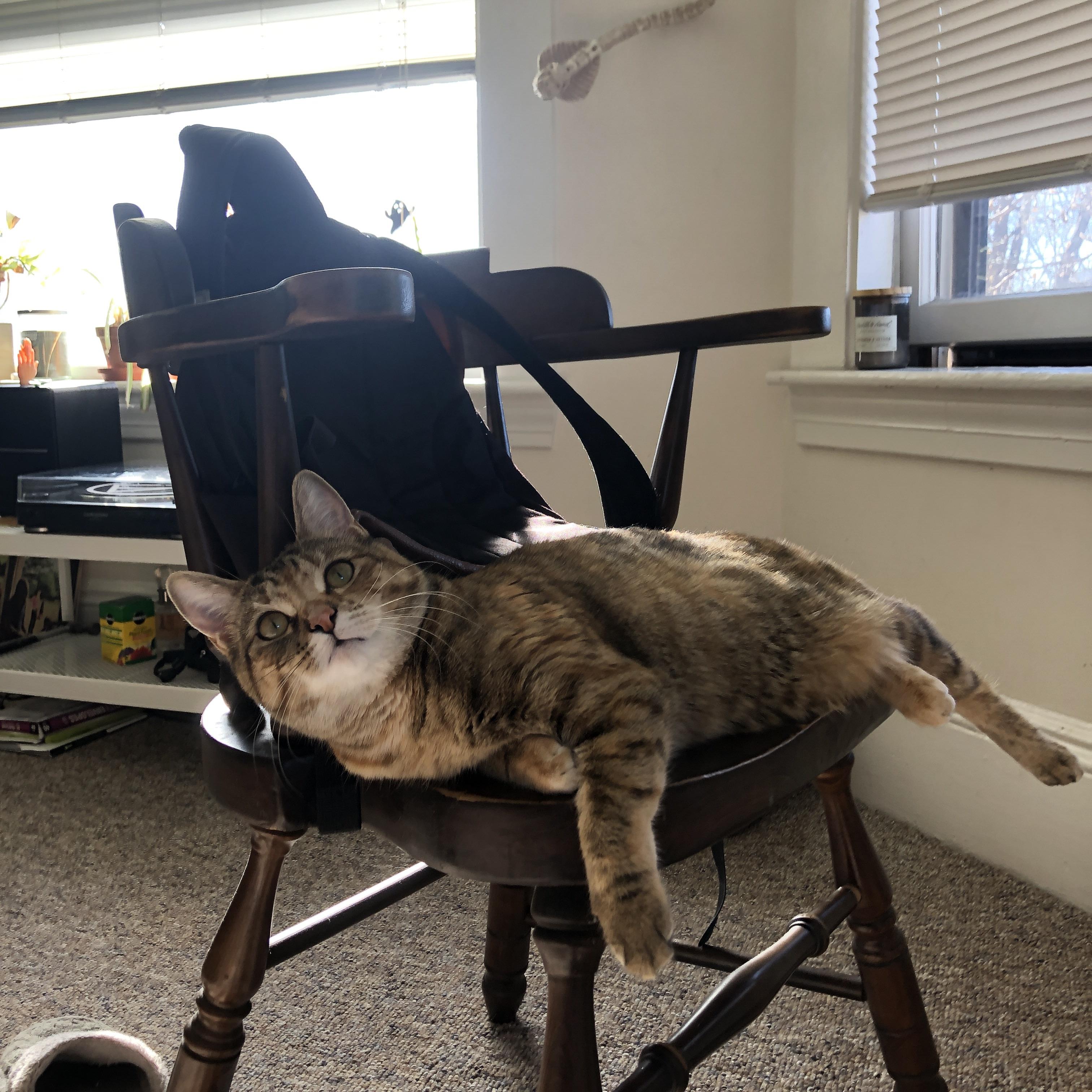 青少年篮球课程注重综合素质提升多角度培养，青少年篮球培训课程体系