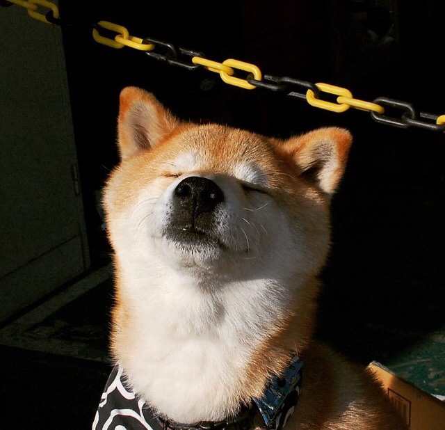 黄蜂主帅提出提高三分出手选择精准度，黄蜂战术